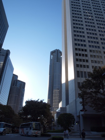 ビルに反射した夕日